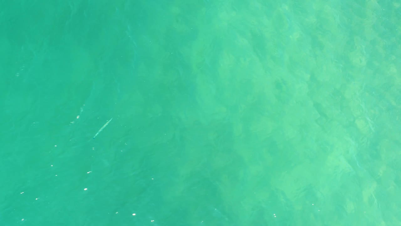 An overhead view of calm turquoise water in Campestre San Jose Del Cabo BCS Mexico shows shifting light flecks over the shallow seabed and no visible people.