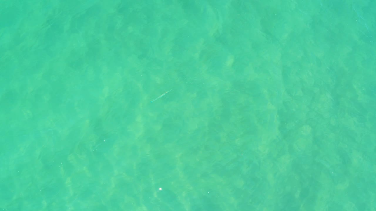 Turquoise ocean water in Campestre San Jose Del Cabo BCS Mexico shows faint small fish shapes against the sandy bottom, with no visible people.