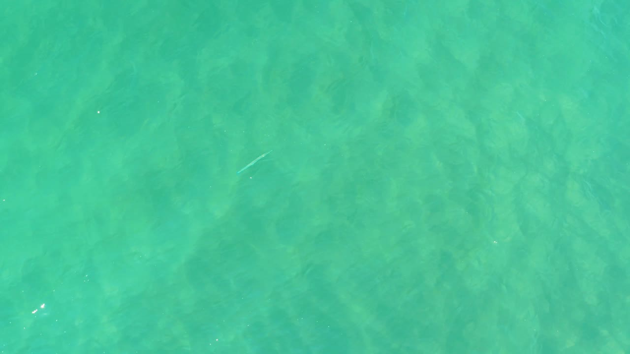 Shallow blue-green water in Campestre San Jose Del Cabo BCS Mexico fills the frame with sunlit ripples and visible sandy bottom, with no visible people.