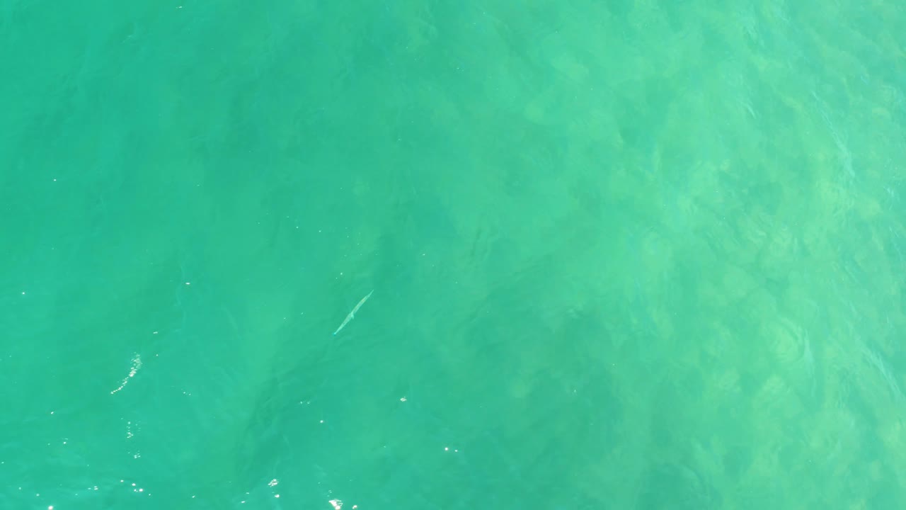A small pale fish shape appears in the turquoise water at Campestre San Jose Del Cabo BCS Mexico, with no visible people.