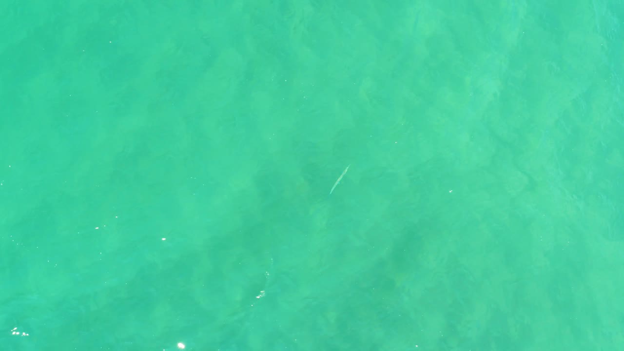At 0:02, the turquoise water surface in Campestre San Jose Del Cabo BCS Mexico carries scattered white glints over subtle seabed detail, with no visible people.