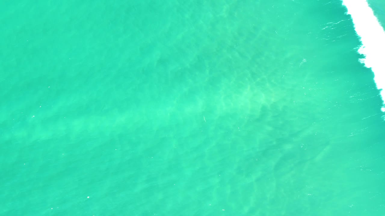 White wave foam cutting through turquoise water