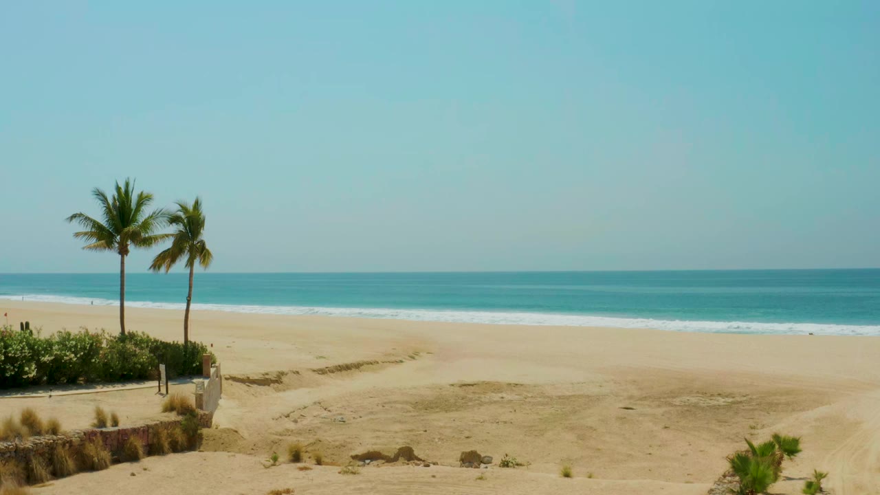 Wide beach view with two palm trees, sand, ocean, and pale blue sky.
