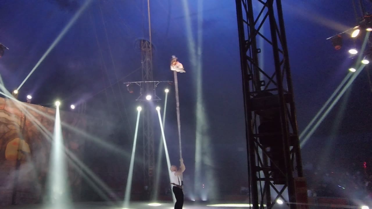 In San Jose del Cabo, Mexico, a white-clad aerial acrobat extends near the top of a vertical pole while a base performer stands below amid blue stage light and white beams.