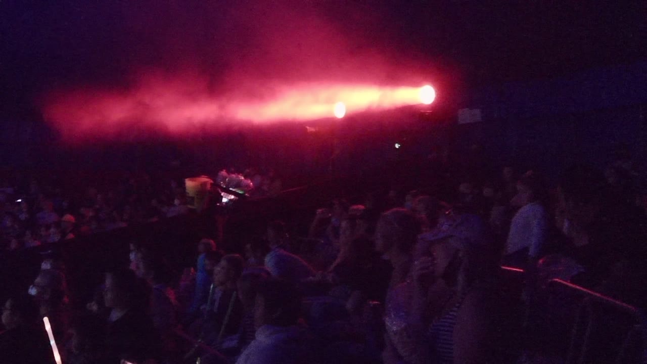 Crowd silhouettes beneath red and purple concert lighting