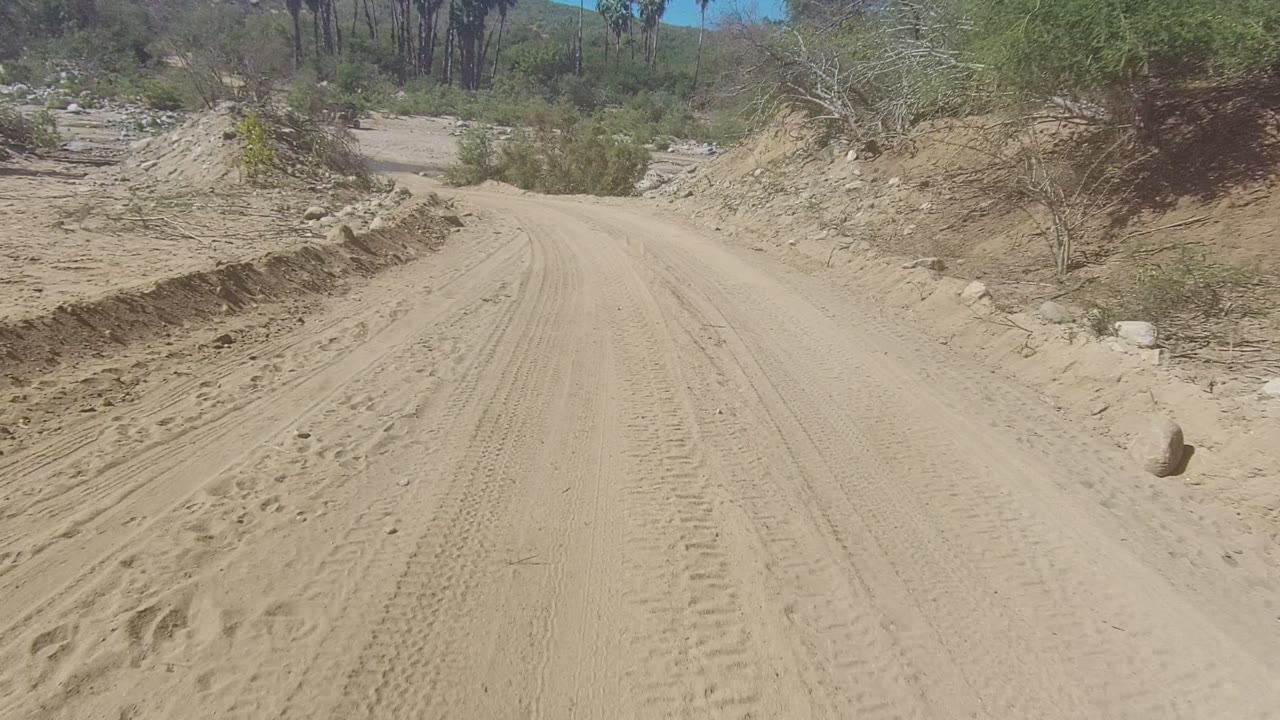 Rutted sandy road with brush along both sides.
