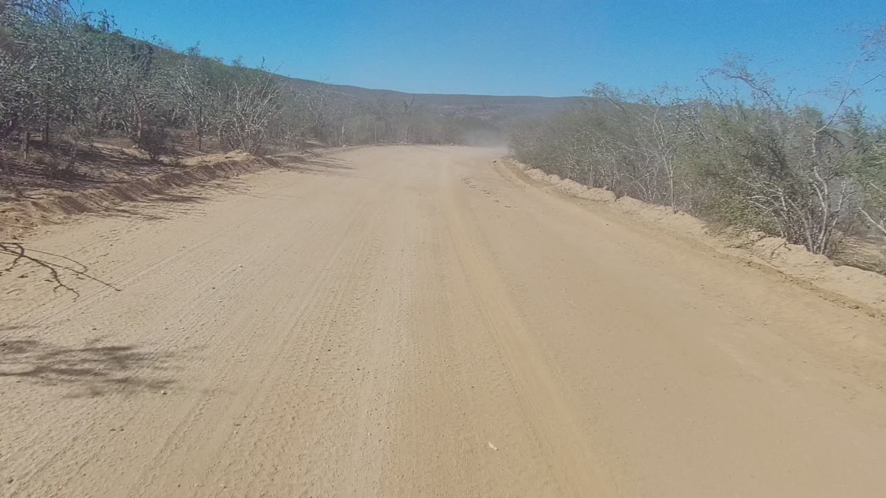 Dusty desert road bordered by dry bushes under blue sky