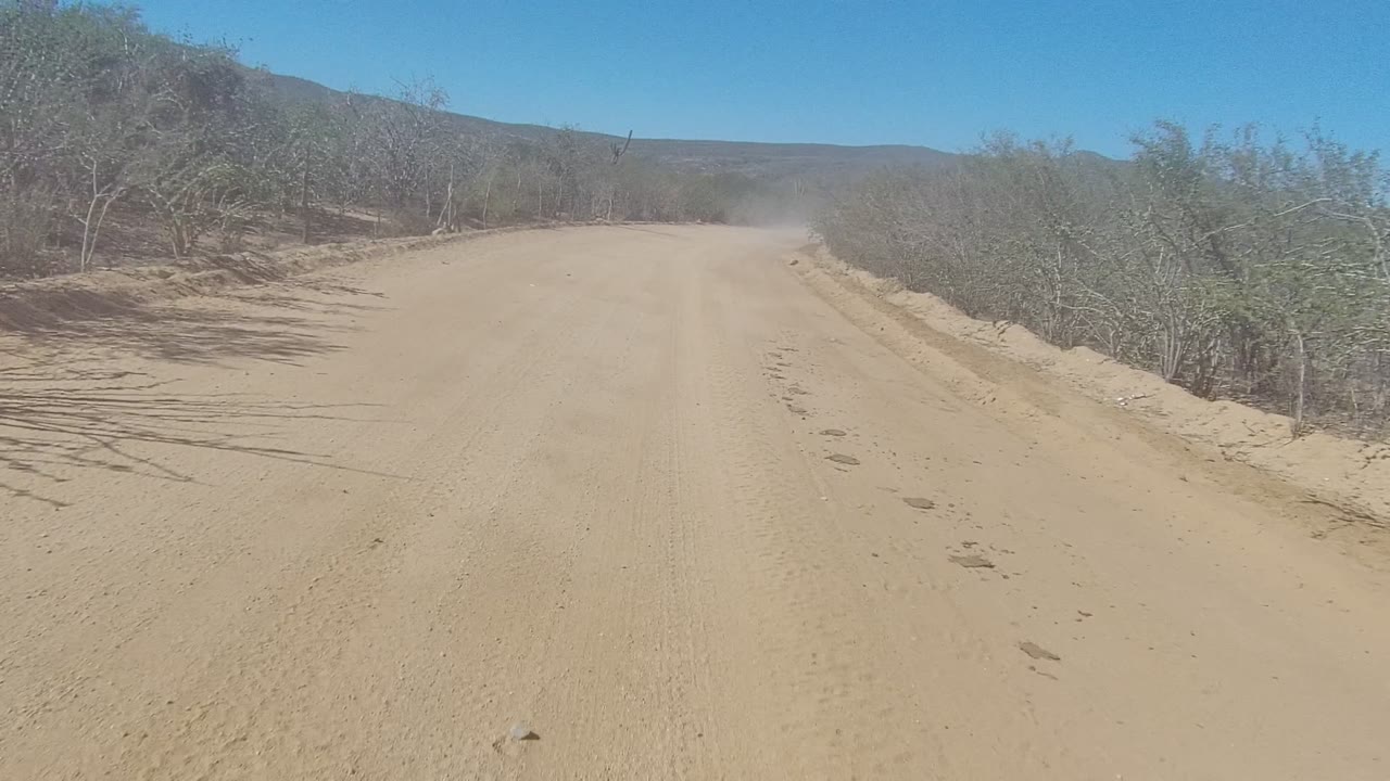 A wide sandy road in Los Cabos BCS Mexico curves gently past brush and small trees, with the distant vehicle dust cloud more visible and no visible people.