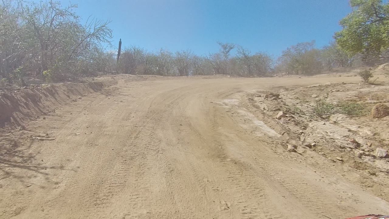 Wide road-level view of a sandy dirt road curving through dry Los Cabos bushland with tire tracks, scrub, cactus silhouettes, and no visible people.