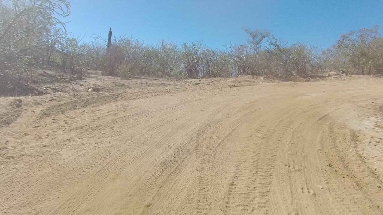 Dusty road shoulder with dry bushes and sandy bank.