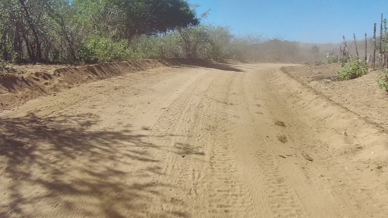 Sandy dirt road in Los Cabos BCS Mexico with tire tracks, dry brush on both sides, tree shadows across the foreground, and no visible people.