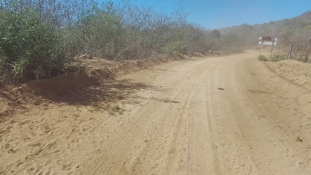 Wide sandy road in Los Cabos BCS Mexico bordered by dry shrubs and low trees, with a rectangular sign on posts at the roadside and no visible people.