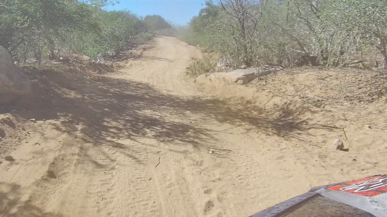 A dusty road in Los Cabos BCS Mexico bends gently through sparse vegetation, with hard sun on the sand, shaded brush at the sides, and no visible people.
