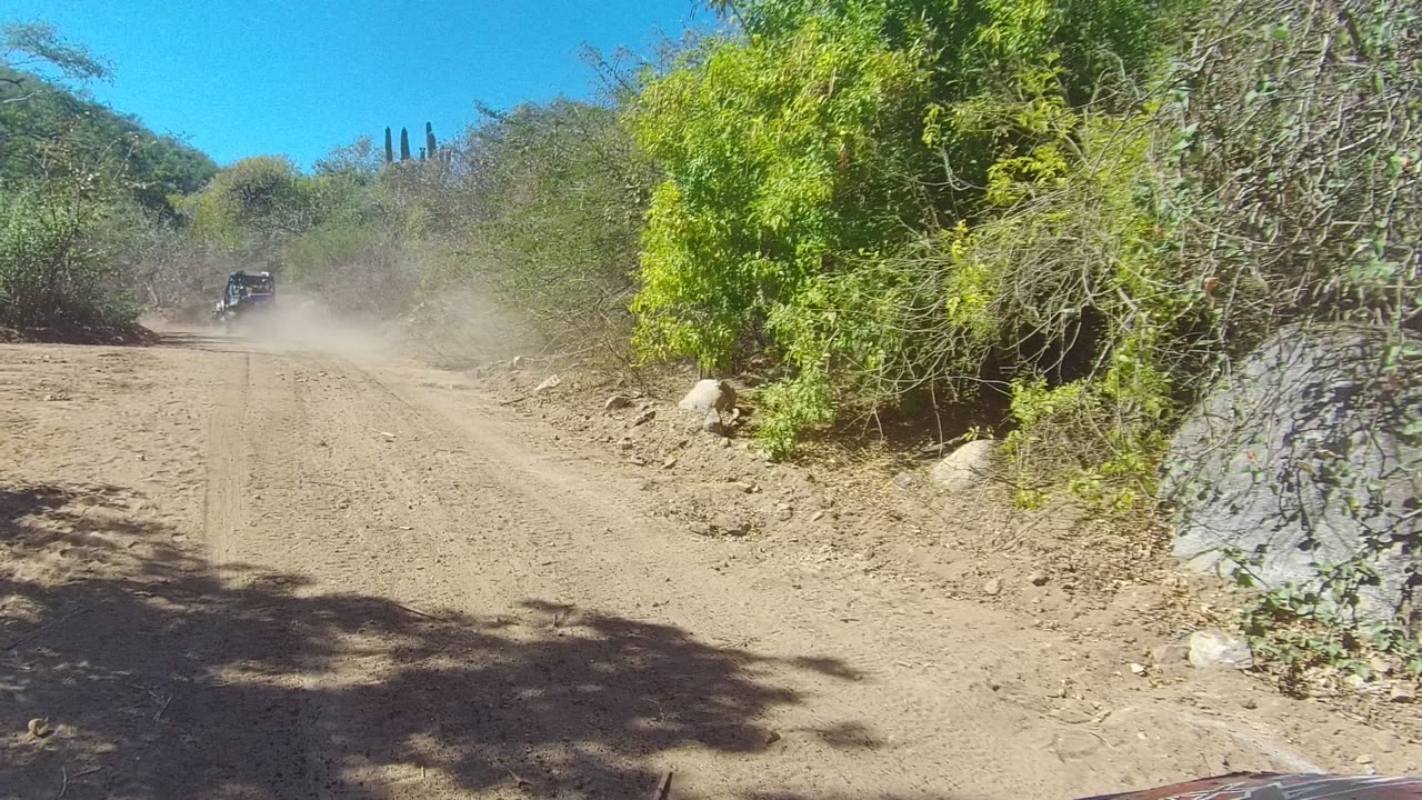 Sandy road curving through brush with dust hanging in the distance.