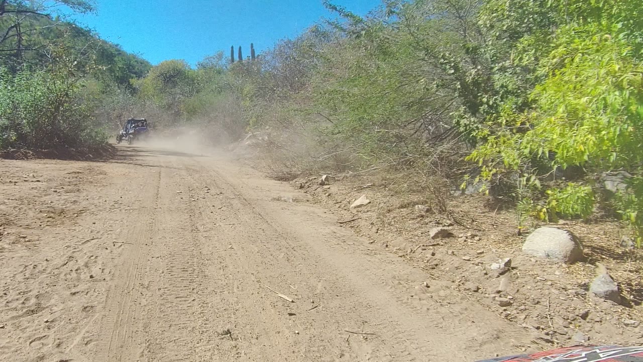 An empty stretch of dusty dirt road in Los Cabos, Mexico is bordered by rocks, scrub, green roadside plants, tall cactus forms, and no visible people.