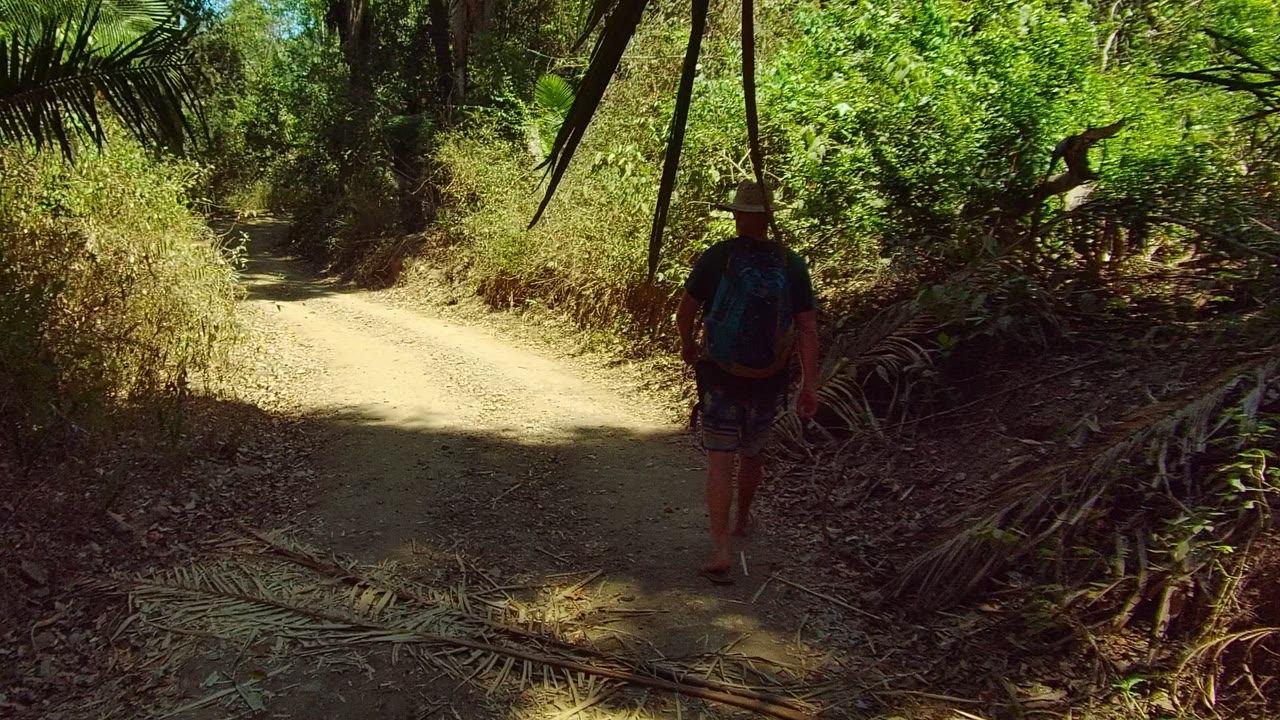 A backpacked hiker in a hat walks away on a shaded dirt forest path in San Pancho Nayarit Mexico, surrounded by dense green vegetation.