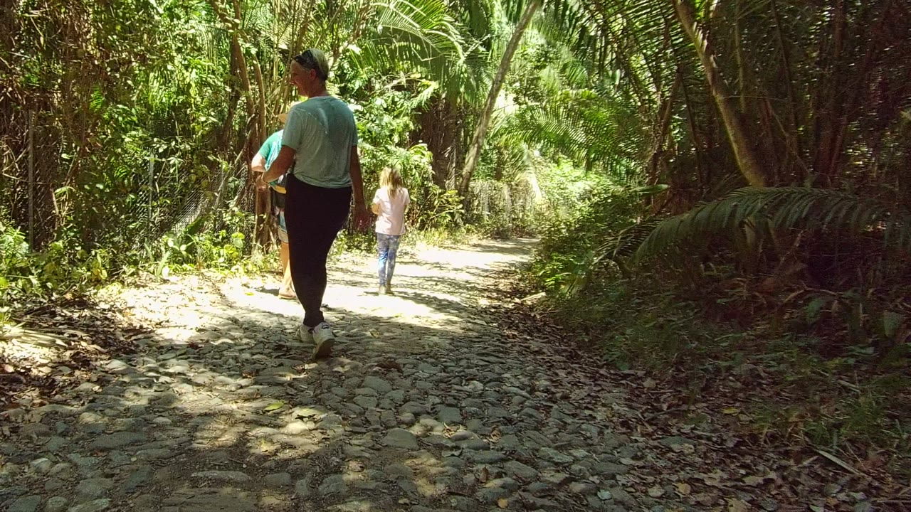 In San Pancho Nayarit Mexico, adults and a child walk away on a pale stone path bordered by dense green forest and patchy sunlight.