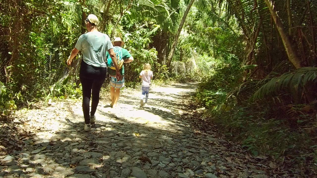 Group continues along a curving stone path through forest.