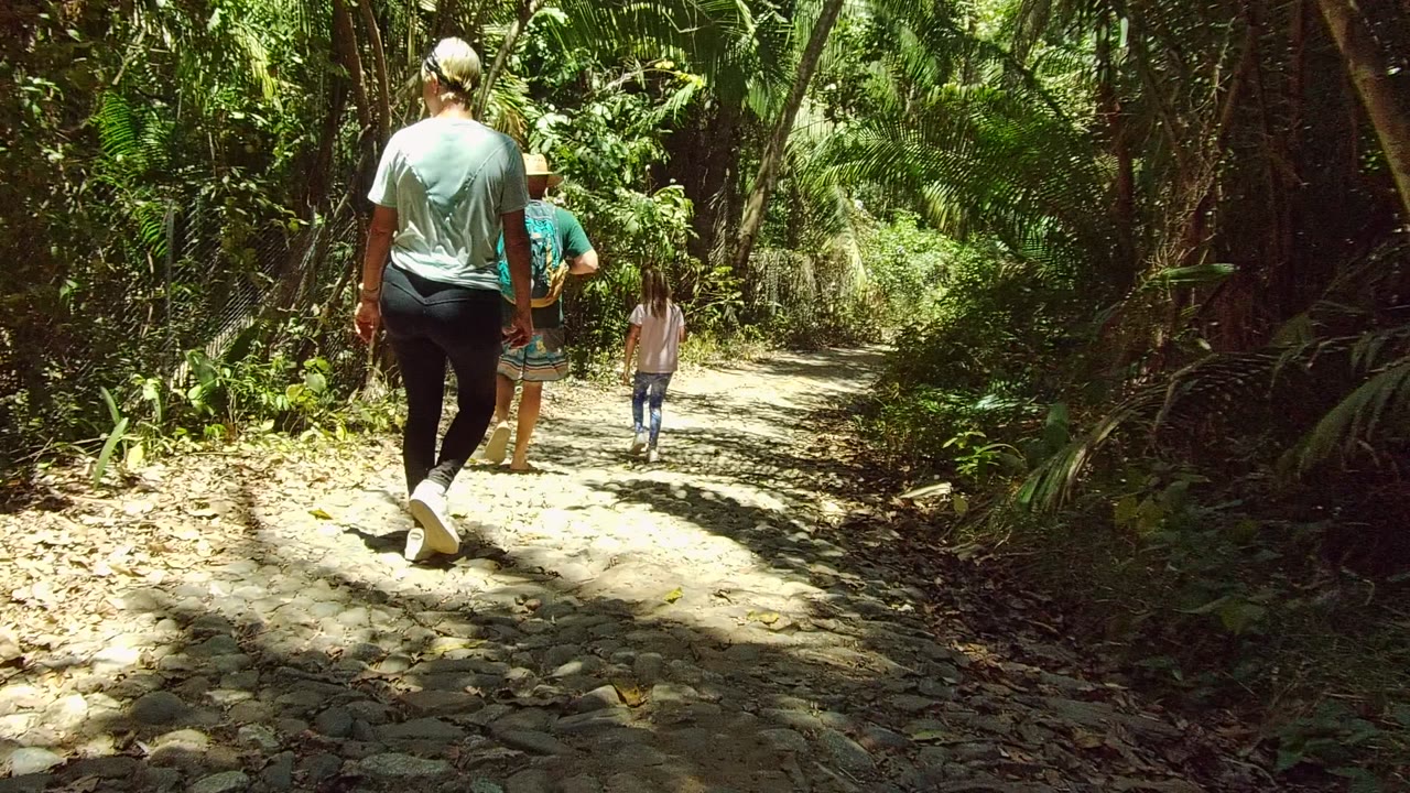 In San Pancho Nayarit Mexico, people are seen from behind walking under dense trees, with the rocky path bright in the center and darker foliage at the sides.