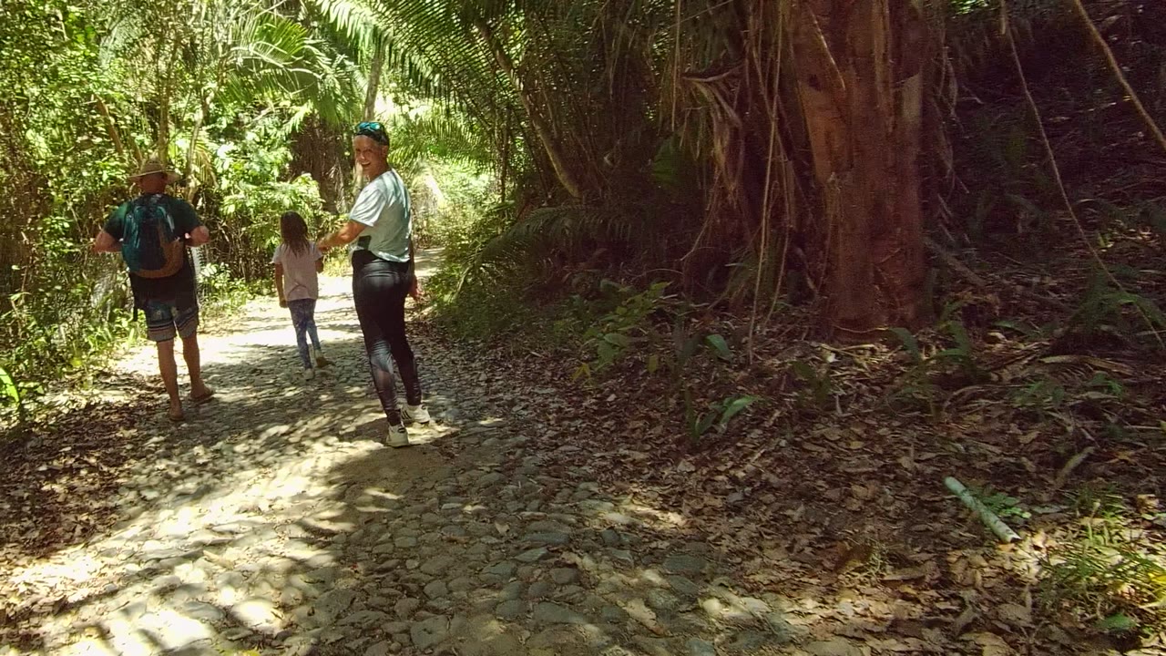The group remains on the sunlit curve of the forest trail in San Pancho Nayarit Mexico, with a large tree base, hanging roots, and shaded undergrowth around them.