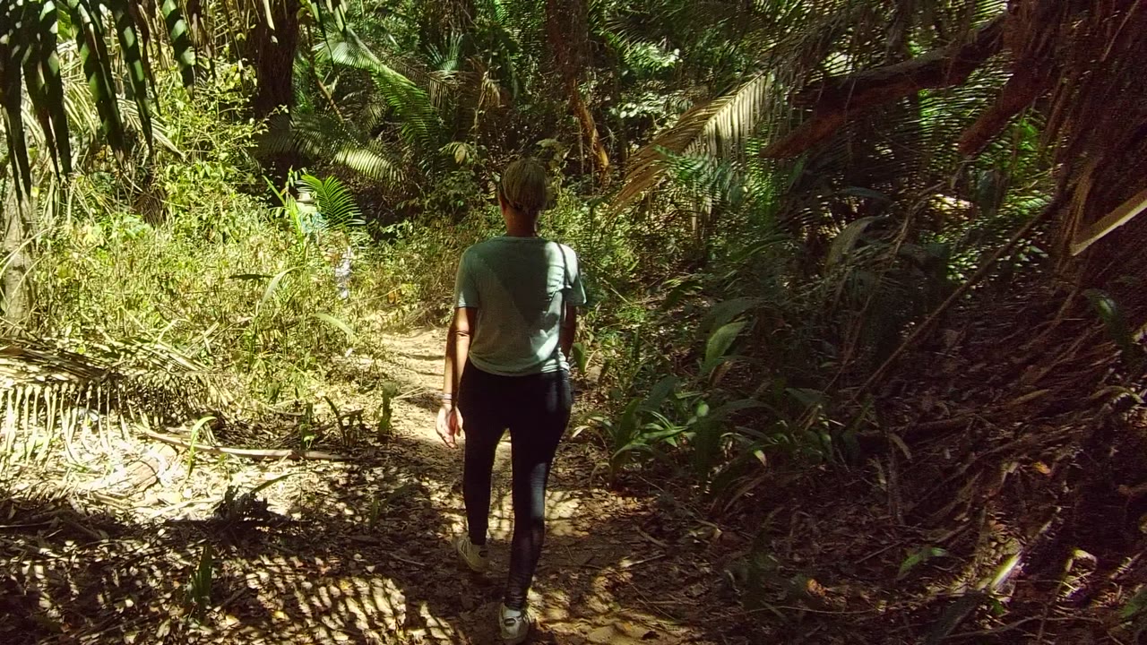 A person walks away from camera on a narrow dirt path in dense green forest vegetation in San Pancho Nayarit Mexico, with sunlight breaking across the trail.