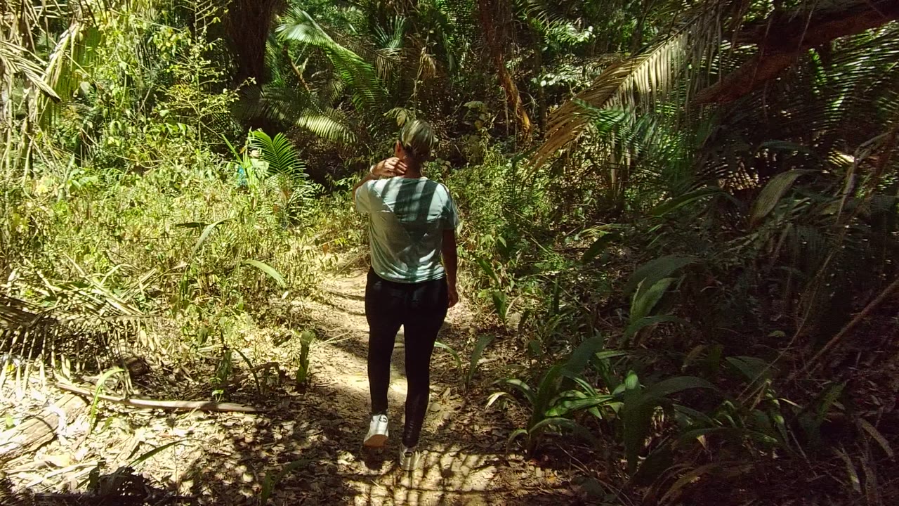Person standing on forest trail with hand near head