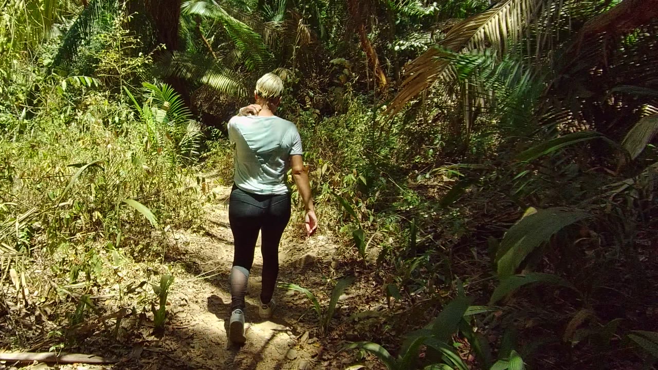 A rear view shows the person continuing along the narrow dirt path in San Pancho Nayarit Mexico, framed by dark shade on the right and bright green plants ahead.