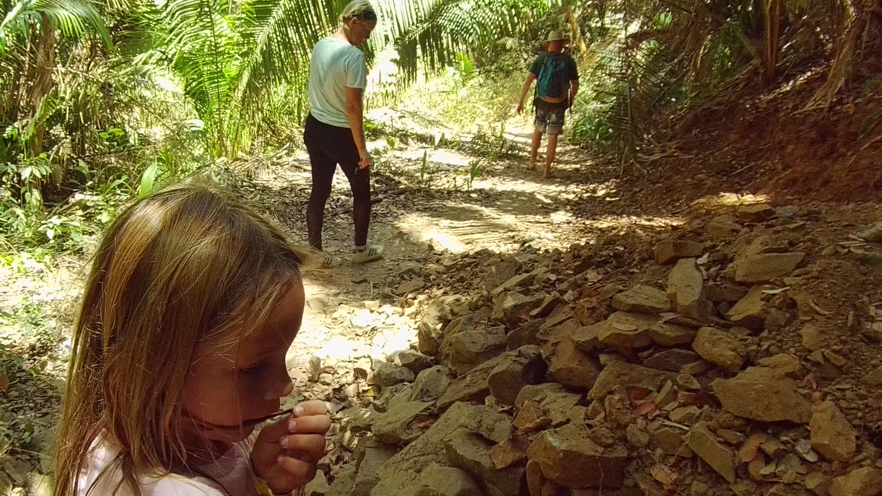 A young girl stands close to the rocky edge of a forest trail in San Pancho Nayarit Mexico while two adults walk ahead under palm-like foliage.
