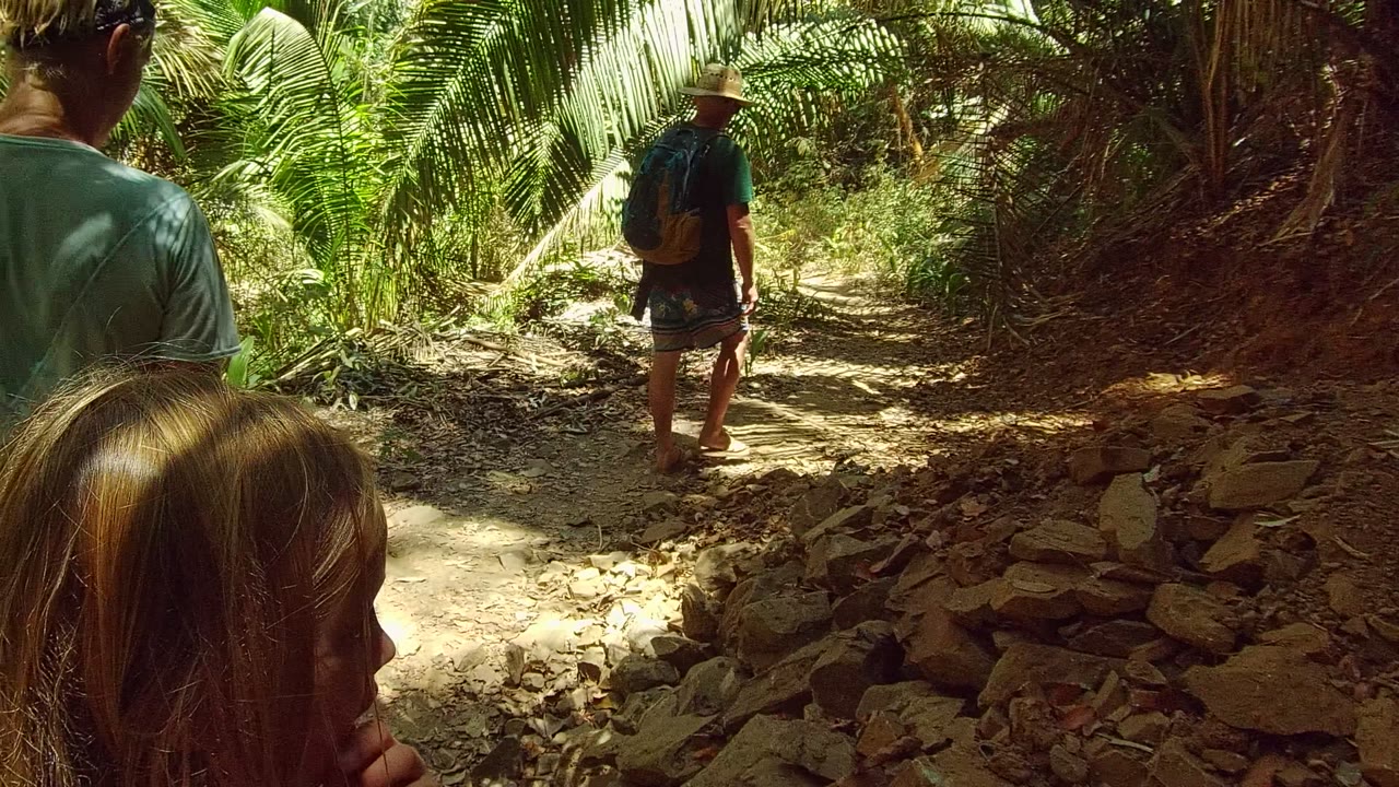 An adult woman and child are seen from behind and side view while a hiker continues ahead on the enclosed forest trail in San Pancho Nayarit Mexico.