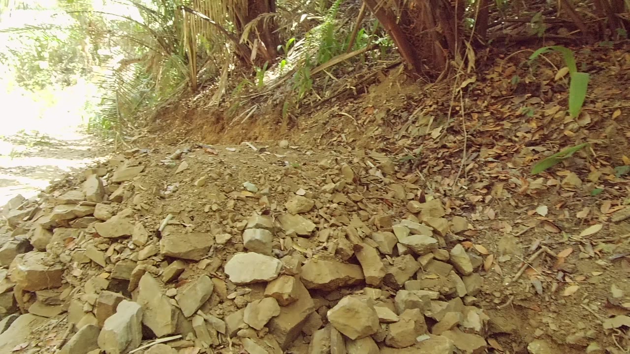 A rocky dirt path in San Pancho Nayarit Mexico curves through dense vegetation, with no visible people and bright sun spilling in from the left.