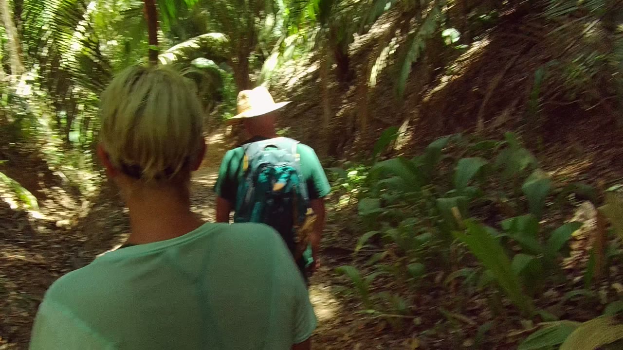 Two people walk away from the camera on a narrow dirt trail in San Pancho Nayarit Mexico, with a hat-wearing hiker ahead and dense palm vegetation around them.
