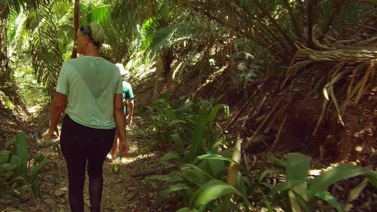 Two hikers walk away from the camera on a shaded forest path in San Pancho Nayarit Mexico, with the foreground person at left and dense green foliage around the trail.