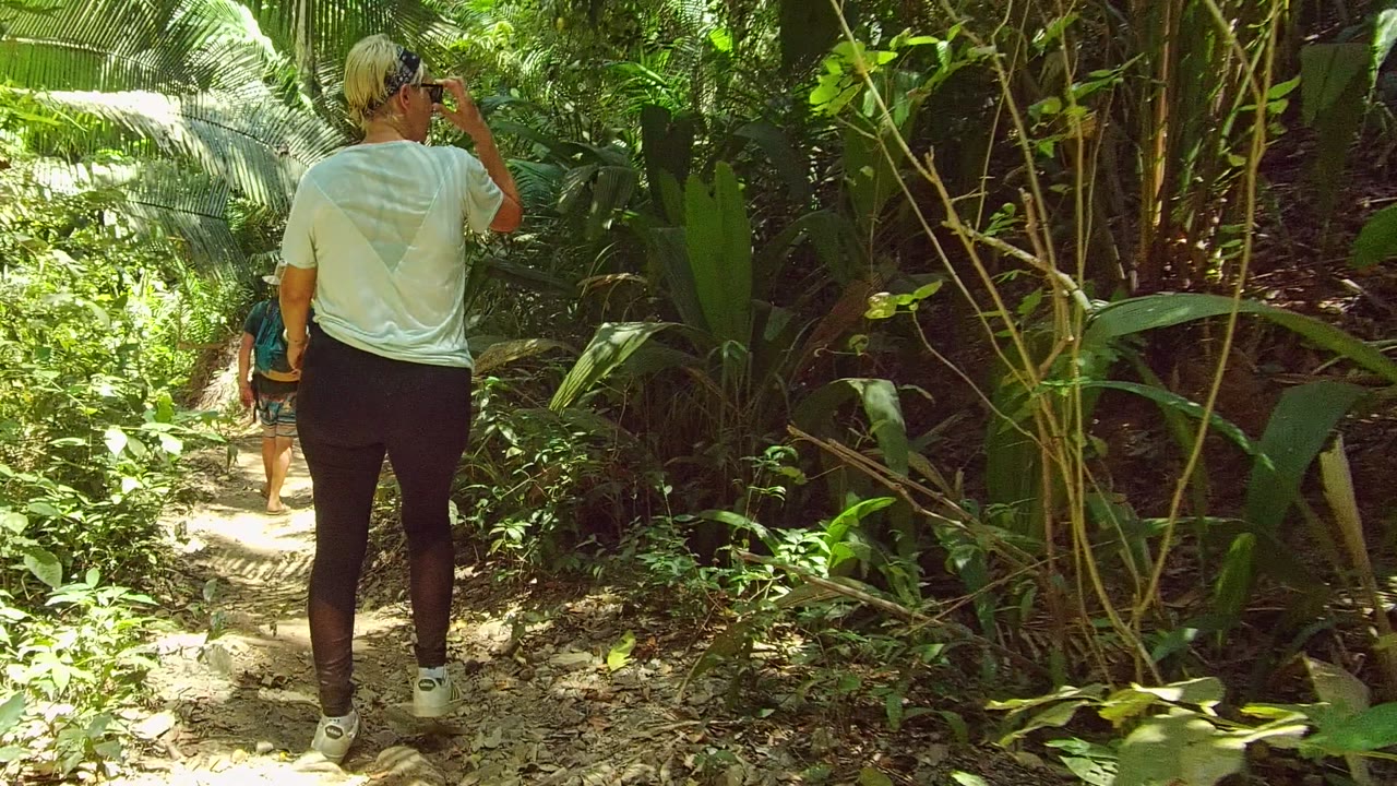 In San Pancho Nayarit, Mexico, an adult hiker in a pale shirt and black pants walks away from the camera on a narrow dirt trail while another hiker is visible ahead among dense green foliage.