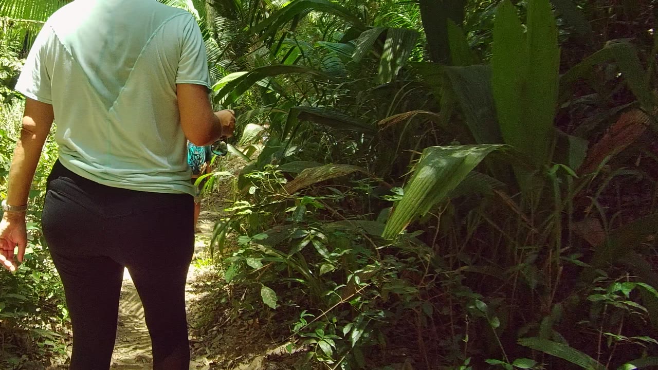 In San Pancho Nayarit, Mexico, the frame moves closer to the hiker's back and right arm as the dirt trail continues into shaded green vegetation on the right side of frame.