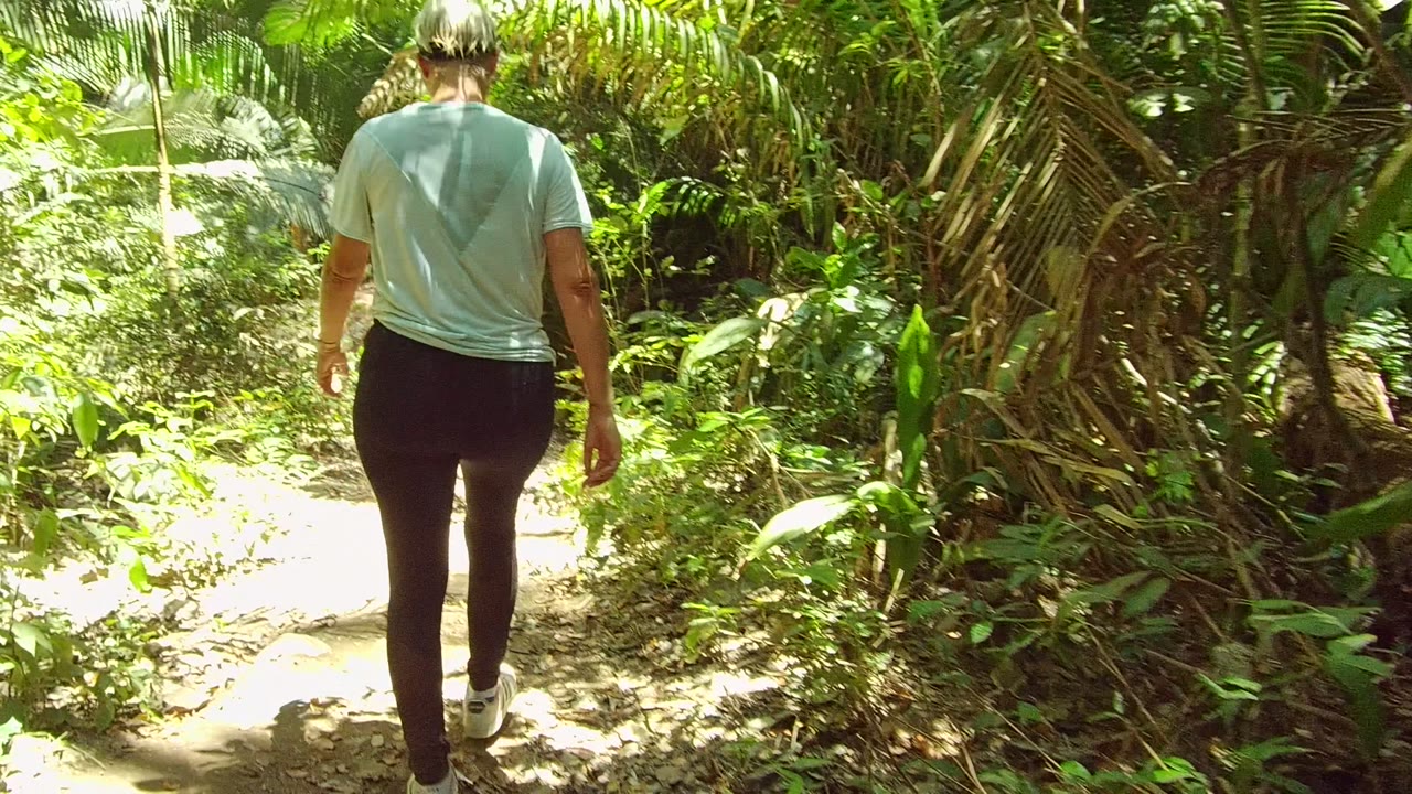 A hiker in a light shirt walks away from the camera on a narrow dirt trail in San Pancho Nayarit Mexico, surrounded by dense green foliage and bright patches of sun.