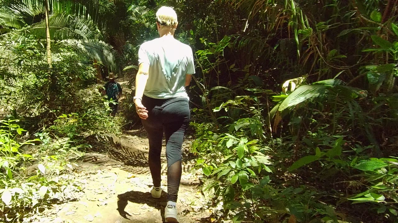 The trail in San Pancho Nayarit Mexico opens ahead through dense vegetation, with the nearest hiker partly out of view and sunlit leaves and path edges visible.