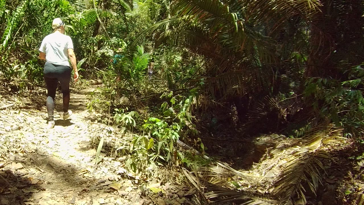 A person walks away on a narrow dirt trail in San Pancho Nayarit, Mexico, with dense green foliage and bright sun patches around the path.
