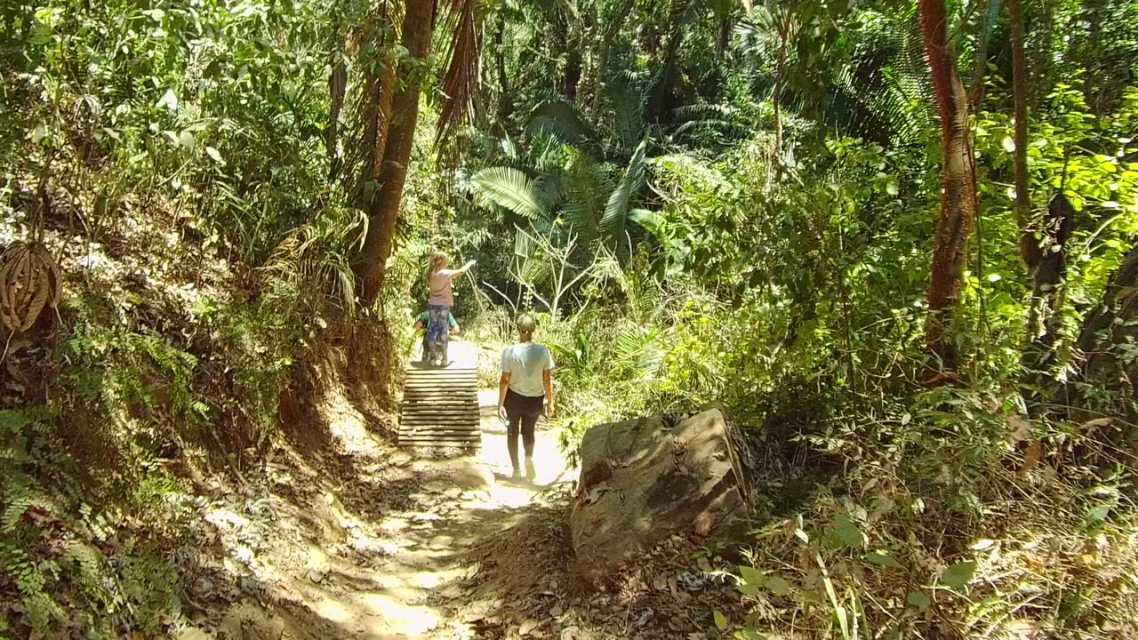 Two hikers climb the center steps in San Pancho Nayarit Mexico, with strong sunlight on the lower trail and dense vegetation closing in around them.