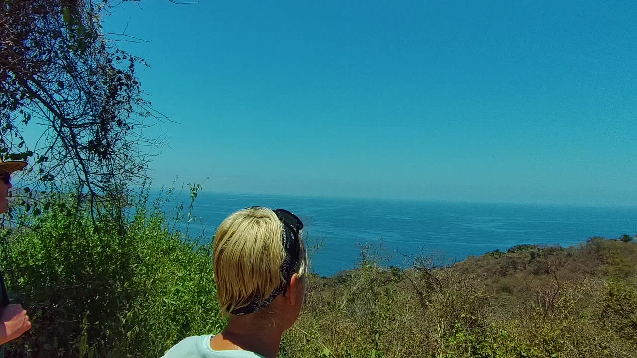 Person's head at lower edge facing an ocean overlook
