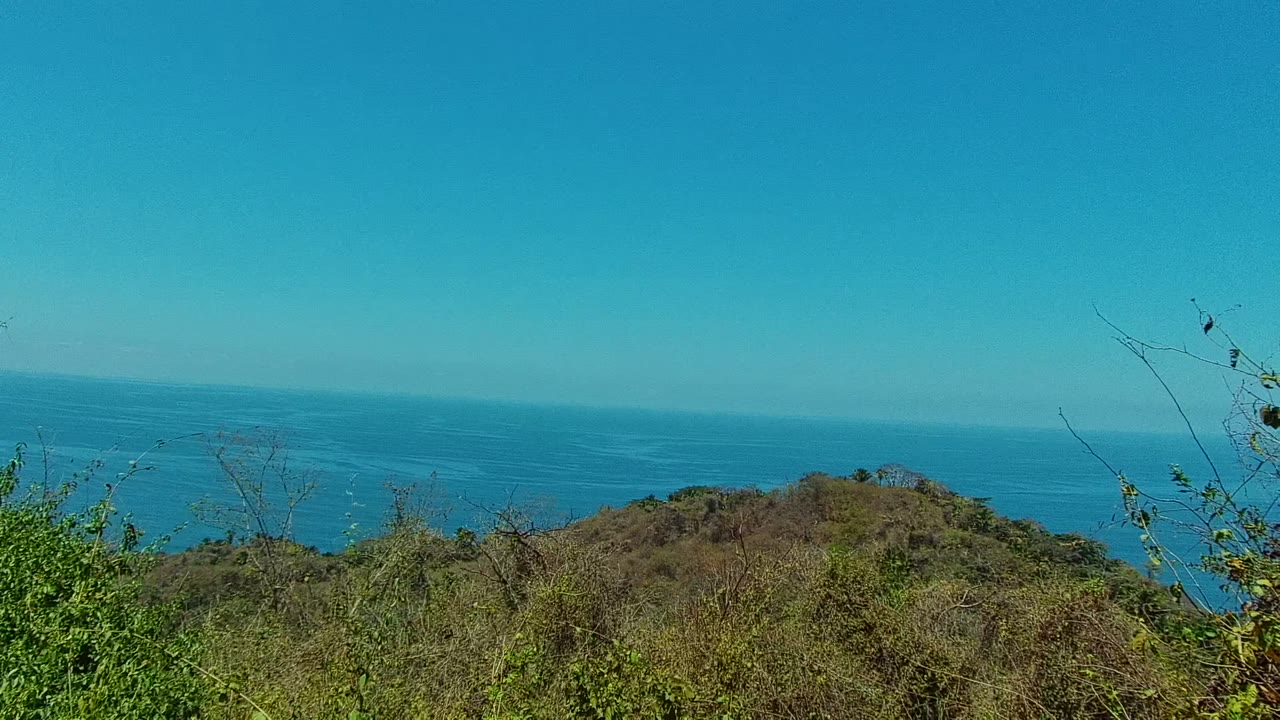 Dry coastal hillside vegetation fills the foreground in San Pancho Nayarit Mexico, with blue ocean and a clear sky across the background and no visible people.