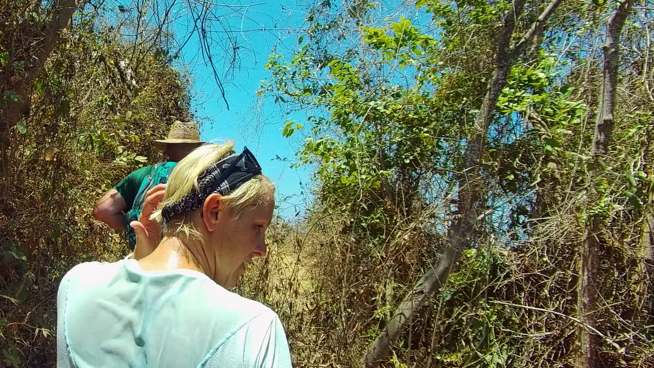 Two people walk away along a narrow dirt trail in San Pancho Nayarit Mexico, with a blond person in the foreground and a hat-wearing hiker ahead under blue sky.