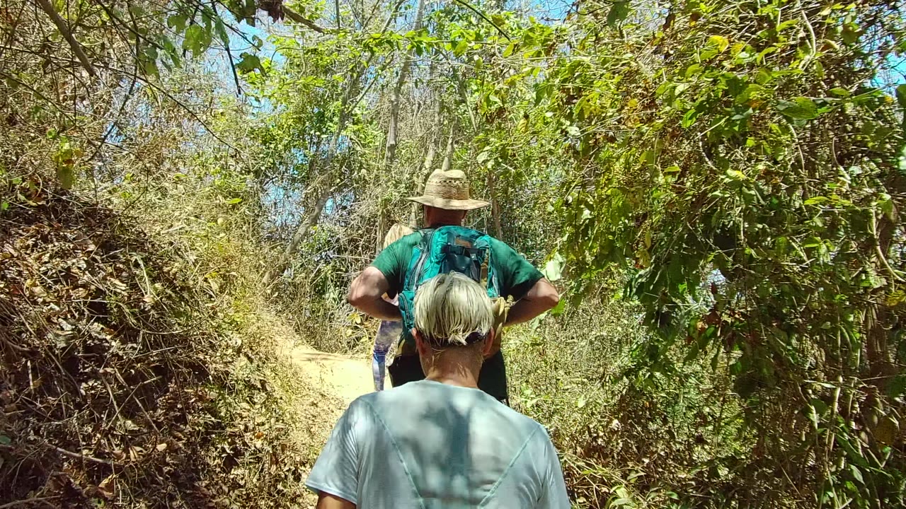 Hikers seen from behind on a narrow dirt path in San Pancho Nayarit, Mexico, with leafy trees and dry brush surrounding the trail at the start of the clip.