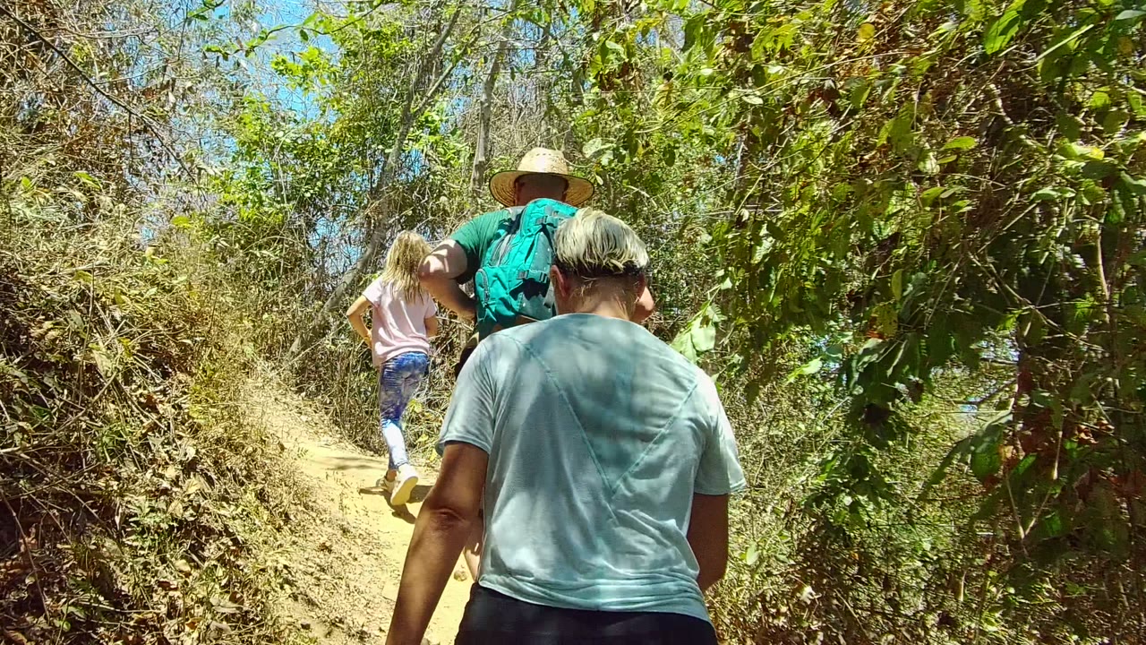 Group of hikers continuing uphill through dense greenery.