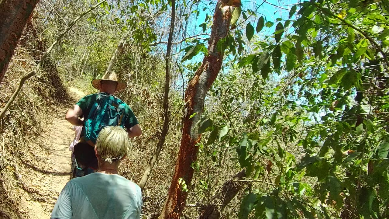 Two hikers seen from behind on a narrow dirt trail in San Pancho, Nayarit, Mexico, with dry brush, tree trunks, green leaves, and bright sky around them.