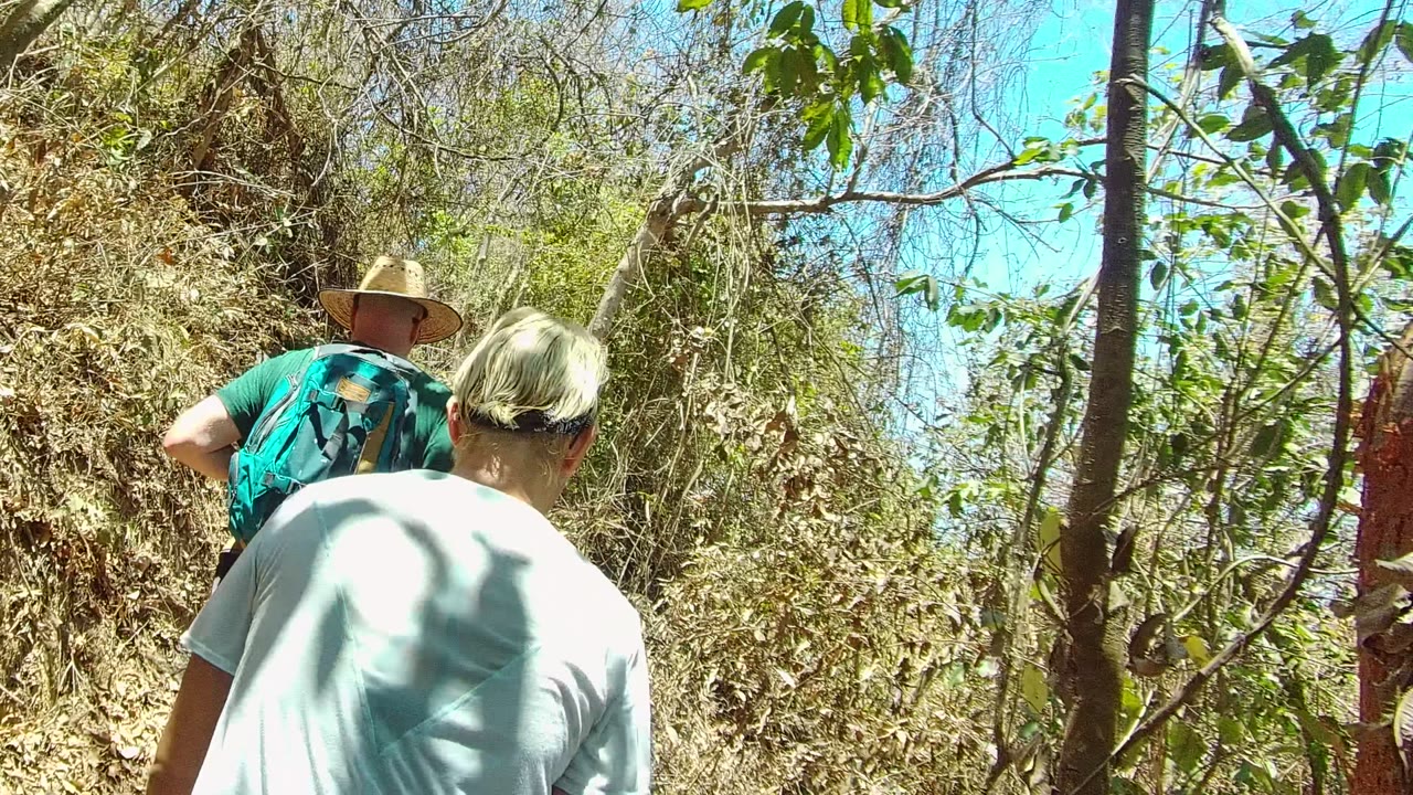Two hikers are framed from behind between slender tree trunks on the San Pancho trail, with sunlit dry leaves on the bank and patches of blue sky overhead.