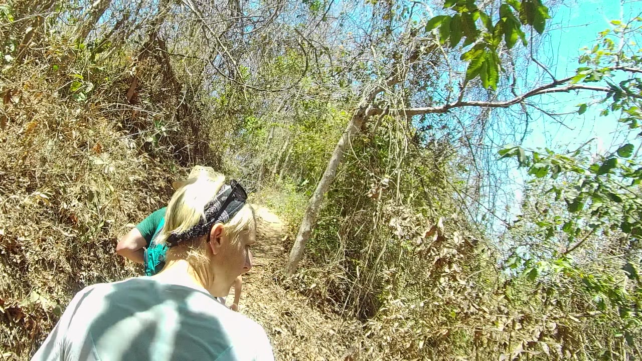 Close rear view of a hiker in a light shirt near dry brush.