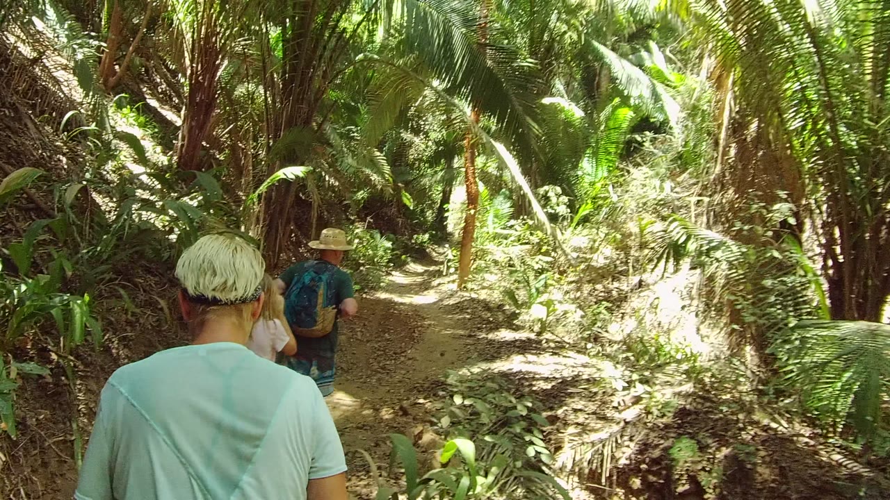 In San Pancho Nayarit Mexico, people walk away from camera on a narrow dirt trail surrounded by dense green foliage and dappled sunlight.
