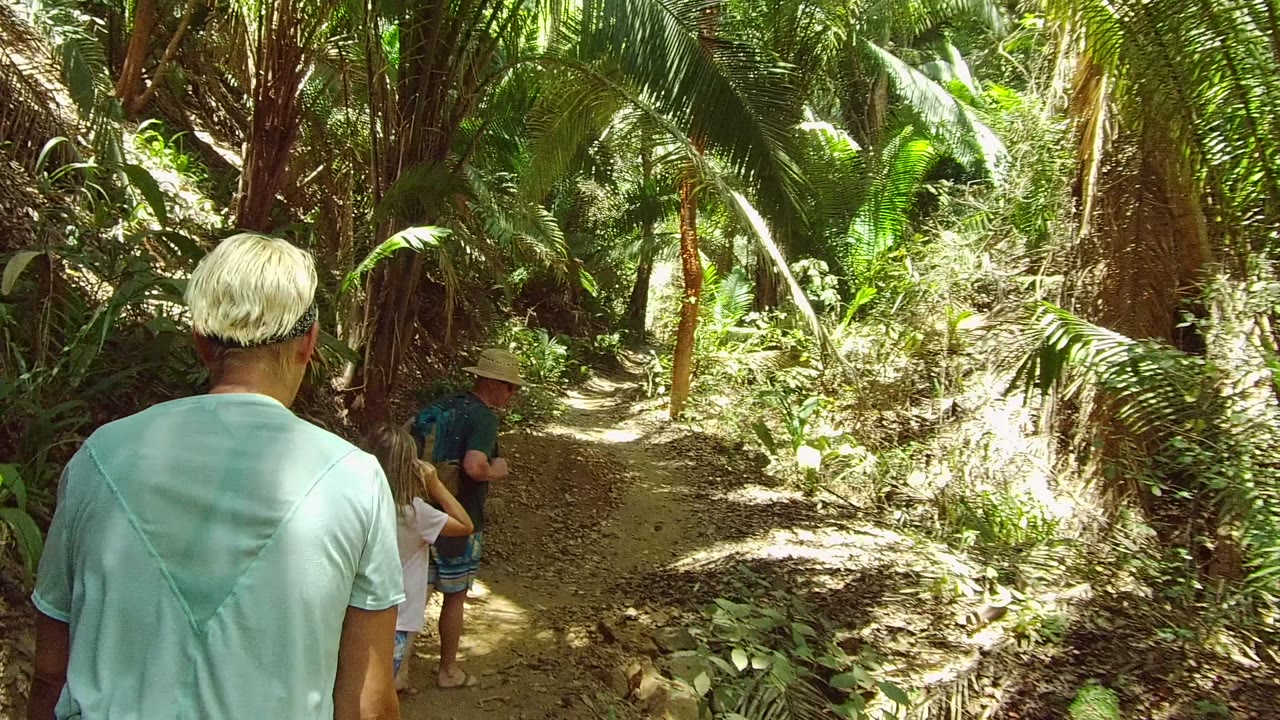 Hikers continuing down a shaded dirt path through greenery