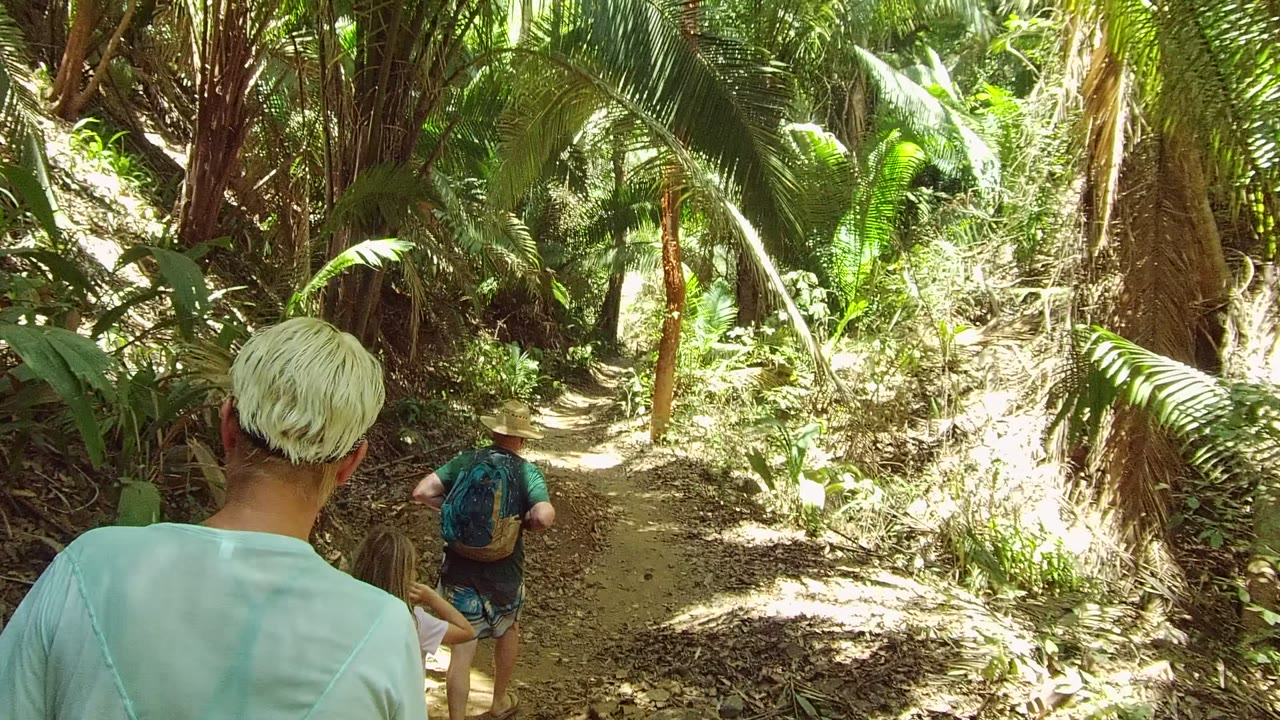The hikers move farther along the dirt path as bright foliage and hanging fronds frame the San Pancho Nayarit Mexico trail corridor.