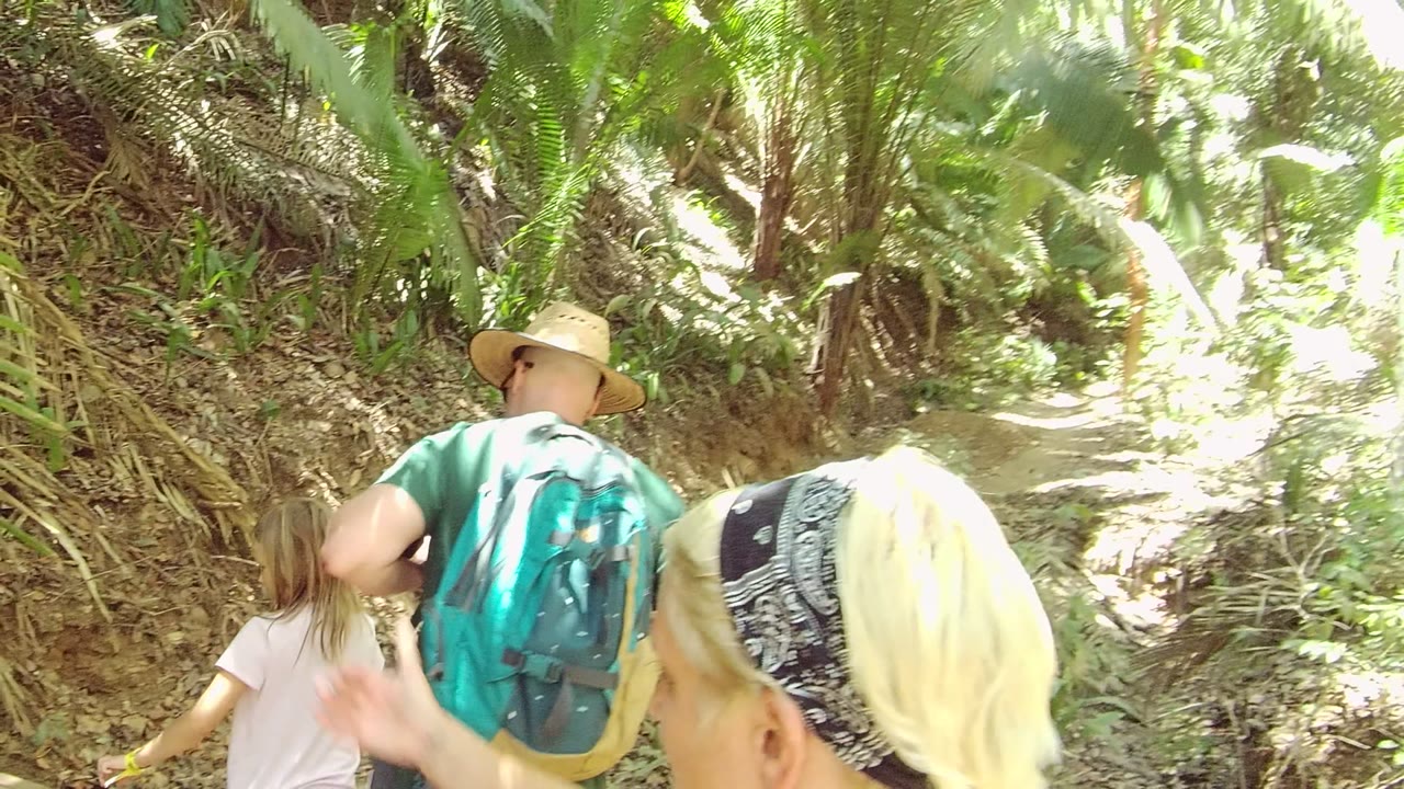 Adults and a child move away on a narrow dirt forest trail in San Pancho Nayarit Mexico, with a straw hat, teal backpack, blonde headscarf, palms, and bright sun patches visible.